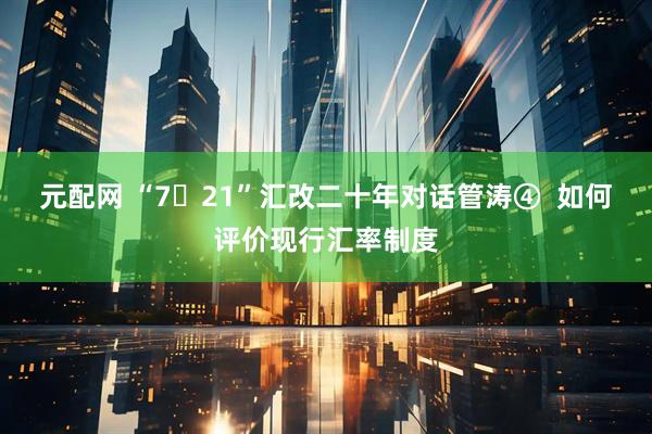 元配网 “7・21”汇改二十年对话管涛④ 如何评价现行汇率制度